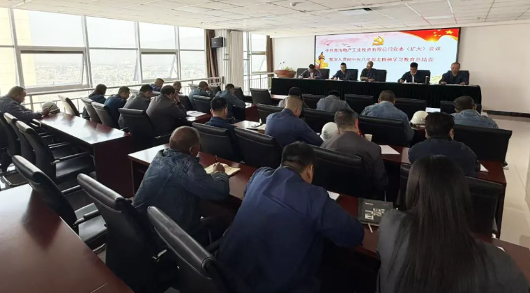 工投公司召开党委（扩大）会议暨深刻贯彻中央八项划放心灵进建教育总结会议