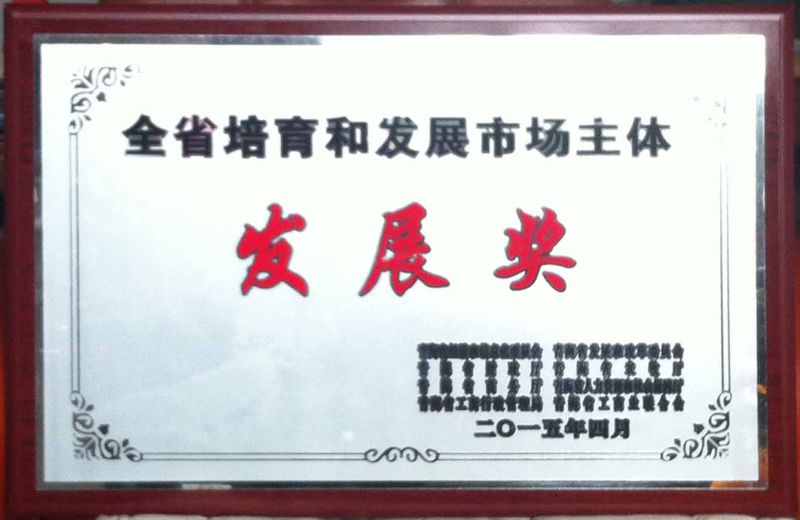 ȫʡ���������г�����������