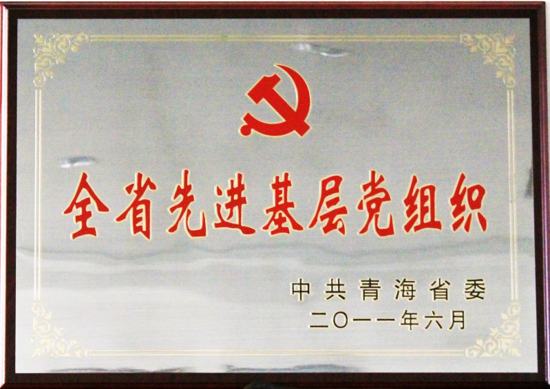 ȫʡ�Ƚ��²㵳��֯