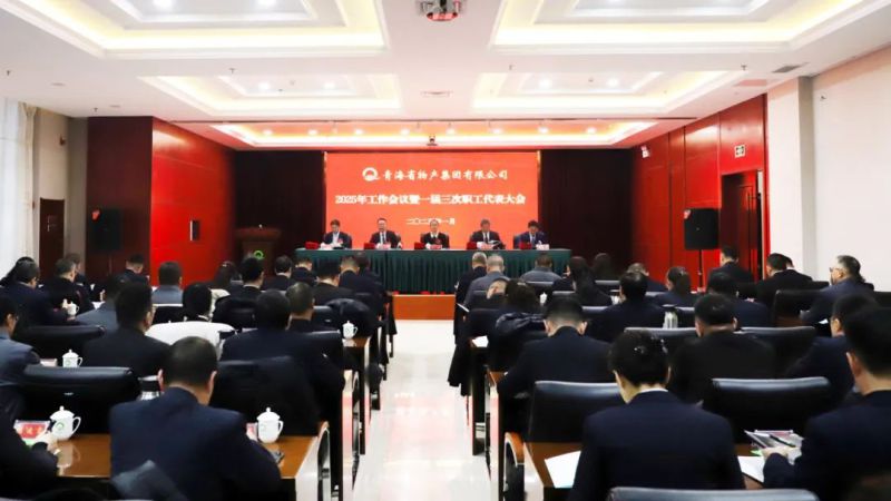 坚定信念促发展 实干争先攀新高&mdash;&mdash;省k8凯发官网集团2025年工作会议暨一届三次职代会成功召开
