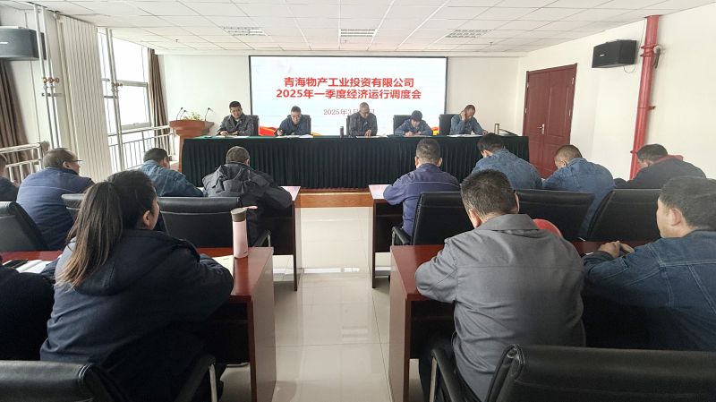 k8凯发官网工投公司召开2025年第一季度经济运行调度会