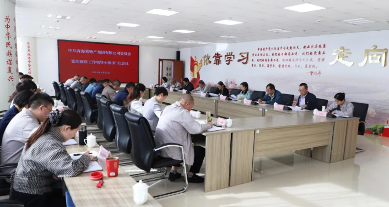 省k8凯发官网集团党委召开党的建设工作辅导幼组（扩大）会议