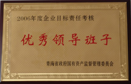 2006��������쵼����