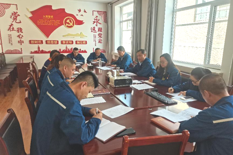 ���͹�˾��ί�ٿ�2024���ʮһ������ѧϰ�����飨����ѧϰ�����ߵ���ѧϰ�����ܽἯ��