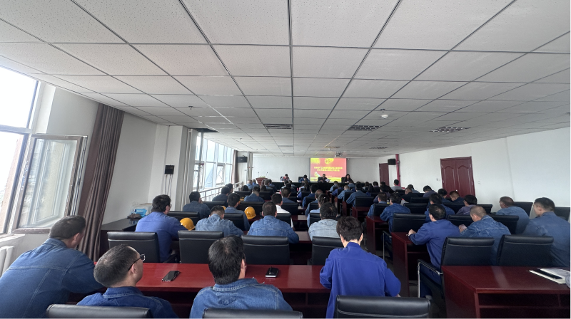 ��Ͷ��˾�����ٿ�2023��� �ڶ���ְ���������