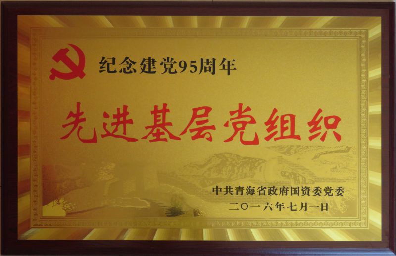 2016����95�����Ƚ��²㵳��֯