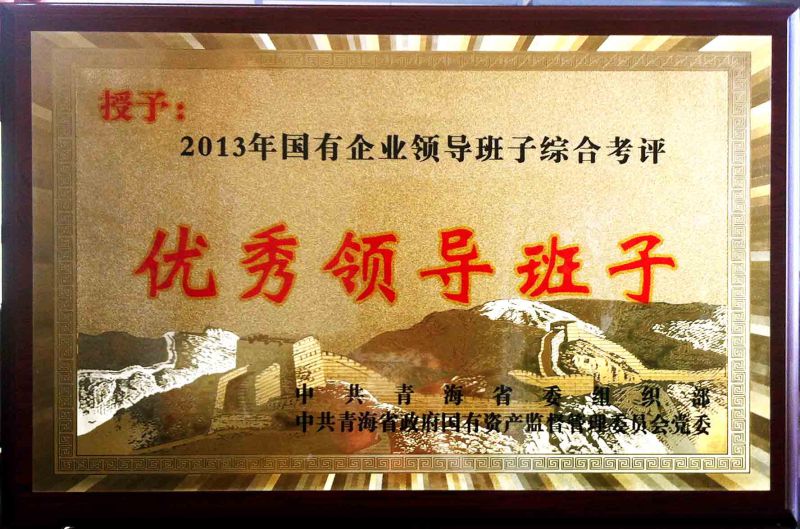 2013��������쵼����