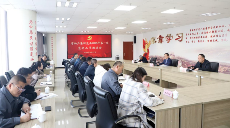 集团党委召开2025年一季度党建工作推动会