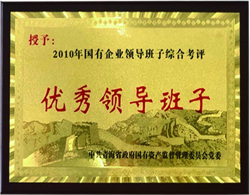 2010������ҵ�����쵼����