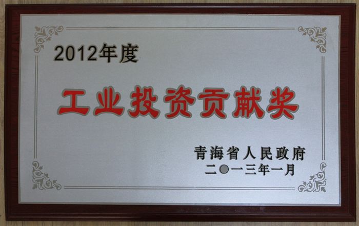 �����ٻ�2012����ຣʡ��������&ldquo;��ҵͶ��Т����&rdquo;