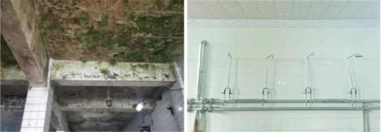 ���й�������  �ذ�ְ��Ⱥ��