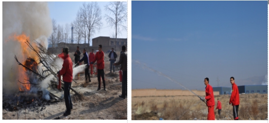 ��������  Ԥ��Ϊ��