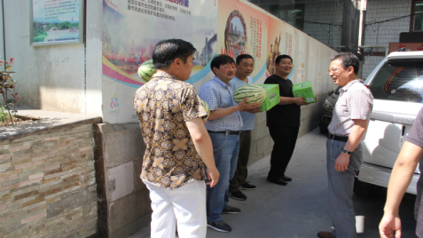 ��������������  ����ůů������