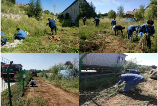 ��������   �ҵ�����