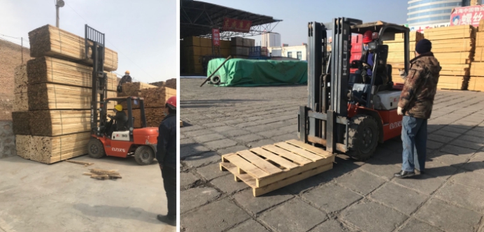 ������ѵǿ����  ����������Т��