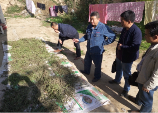 K8������(�й�)����Ӯ�ҡ�һ������